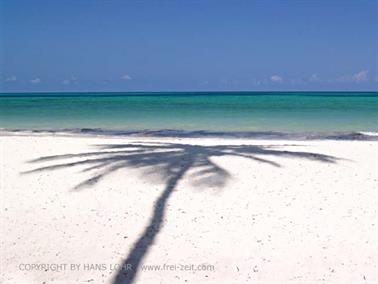Hotel Dreams of Zanzibar, Hotelstrand, DSC06855c